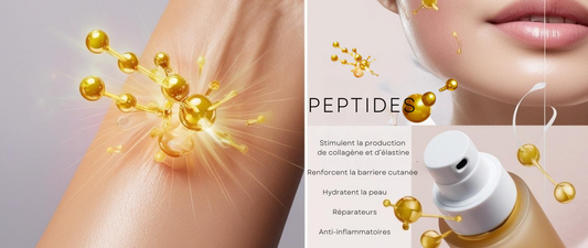 Les peptides  et leurs bienfaits dans les cosmétiques coréens